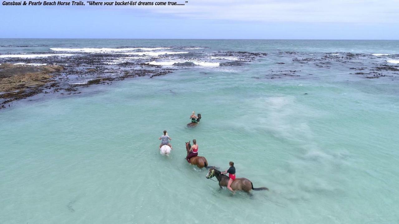 Ons C-Huis - Gansbaai Seafront Accommodation, Back-Up Power ภายนอก รูปภาพ